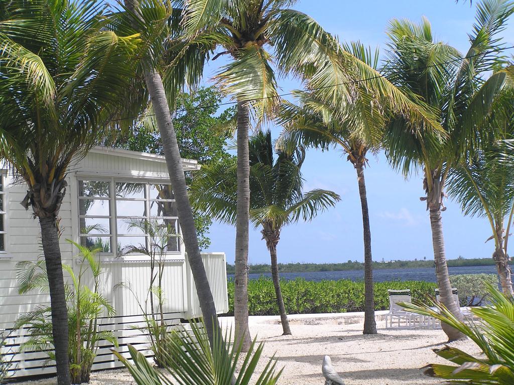Parmer'S Resort Little Torch Key Esterno foto